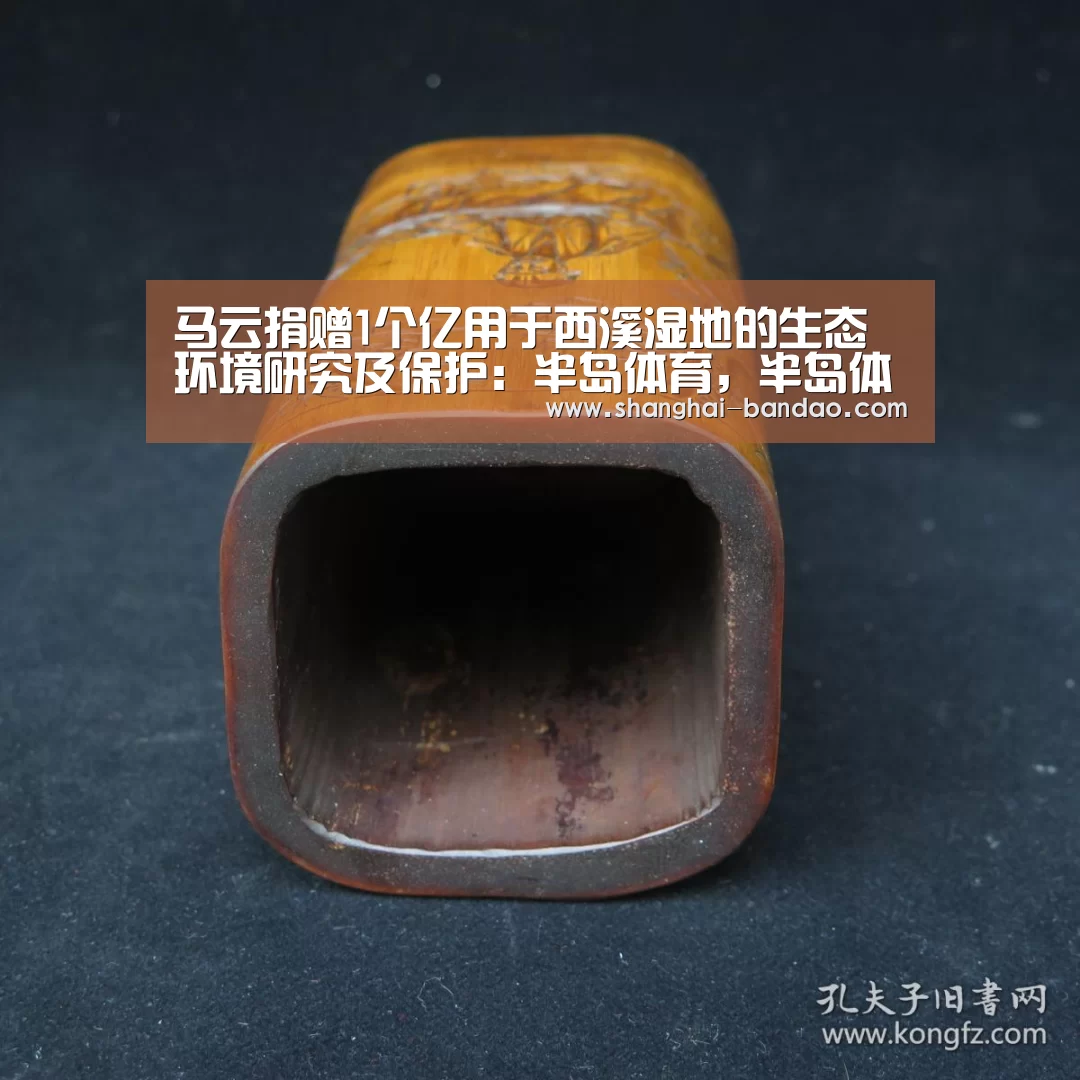 马云捐赠1个亿用于西溪湿地的生态环境研究及保护:半岛体育,半岛体育官网,Bandao Sports,半岛体育官方网站,半岛体育app下载(图1) 半岛体育,半岛体育官网,Bandao Sports,半岛体育官方网站,半岛体育app下载