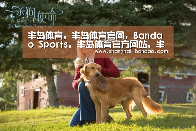 半岛体育，半岛体育官网，Bandao Sports，半岛体育官方网站，半岛体育app下载