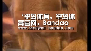 ‘半岛体育,半岛体育官网,Bandao Sports,半岛体育官方网站,半岛体育app下载’四子王旗1万千瓦光伏发电项目即将投产(图1) 半岛体育,半岛体育官网,Bandao Sports,半岛体育官方网站,半岛体育app下载